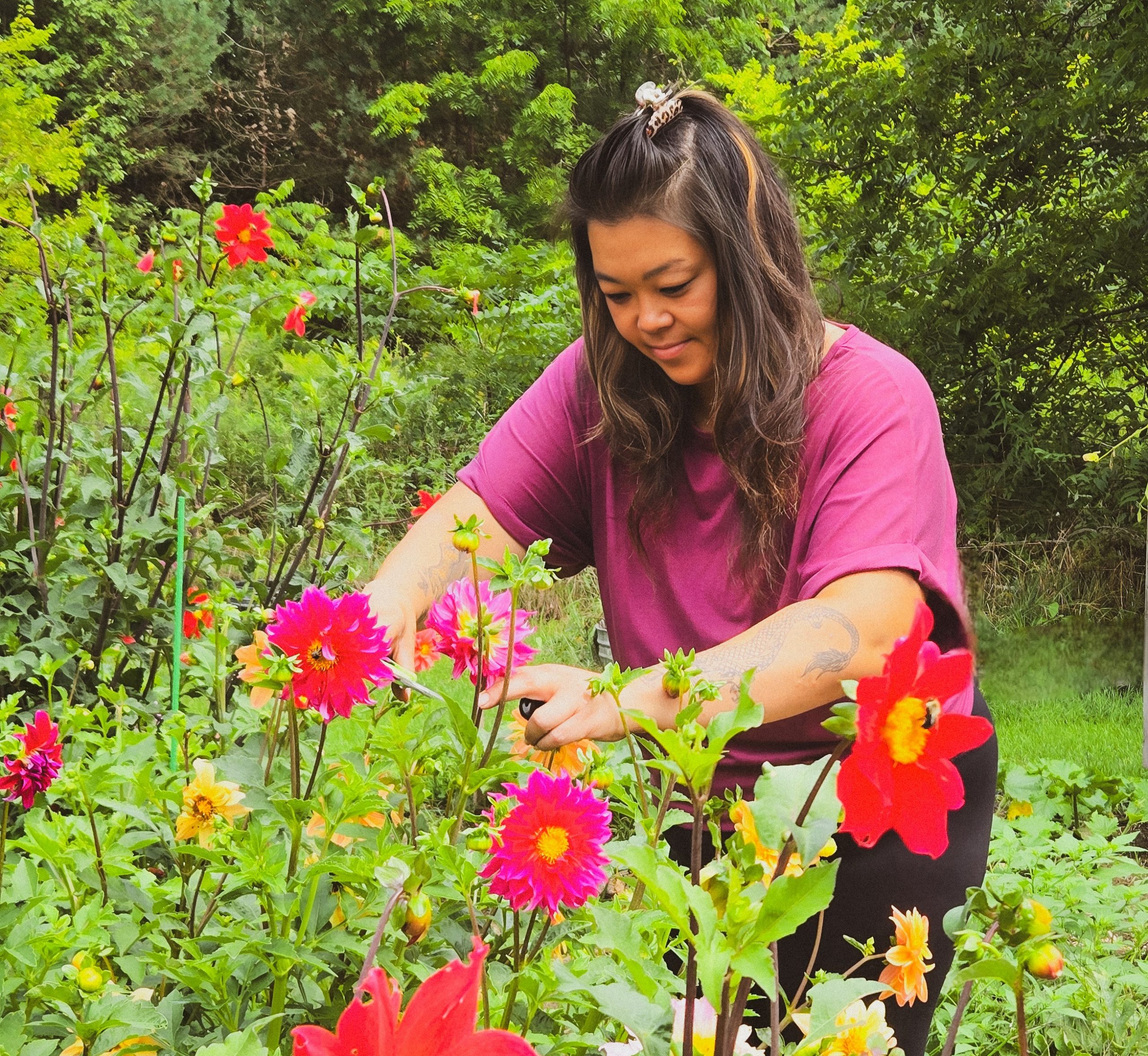 Her Homestead Bothwell
