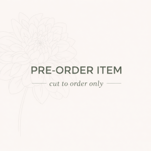 River's Cherry Bomb Dahlia Cutting (Pre-Order)