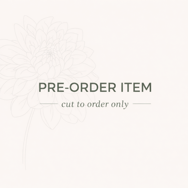 20th Ave Softer Peach Dahlia Cutting (Pre-Order)